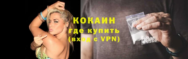 прущие грибы Канск