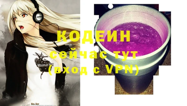 прущие грибы Канск