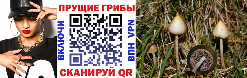 Псилоцибиновые грибы Magic Shrooms  Краснокаменск 