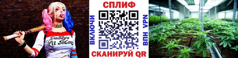 наркота  Краснокаменск  Бошки марихуана Amnesia 